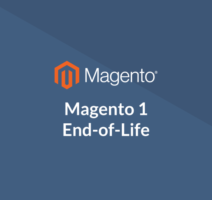 Magento 1 end of life - what to do next?